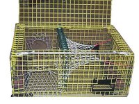 Lobster trap.jpg